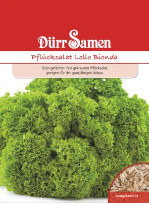 Artikelbild 1 von 'Pflücksalat Lollo Bionda' aus der Kategorie Pflücksalatsamen