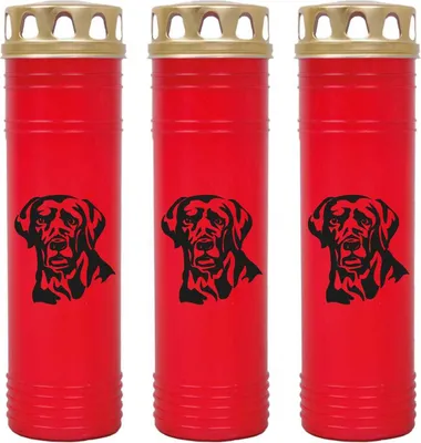 Obrázok produktu pre Hrobová sviečka červená 3-pack, doba horenia: 170 hodín ( každá sviečka ), motív: Labrador