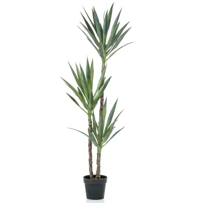 Zdjęcie produktu dla Szmaragdowa sztuczna juka w doniczce 150 cm