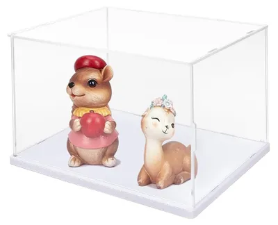 Productafbeelding van Heldere Acryl Vitrine met Witte Basis - Stofdicht 21.5x17x15cm