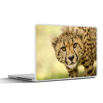Produktbild von MuchoWow® Laptop Aufkleber Sticker Cover Leopard - Gepard - Tier 40x30 cm - Laptop Dekoration - Selbstklebend