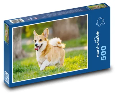 Obrázek produktu pro martinpuzzle - Puzzle 500 - Pes - štěně