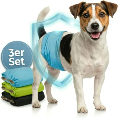 Produktbild von HUND IST KÖNIG Hundewindeln für Rüden [3 Stk], S (Taille 32-38 cm) - saugstarke Hundewindeln bei Inkontinenz, umweltfreundliche Rüdenwindel waschbar