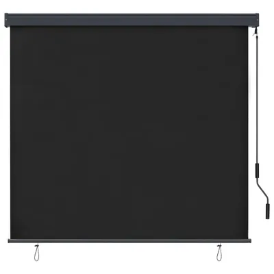 Immagine prodotto di vidaXL Tenda a rullo per esterni 160x250 cm antracite