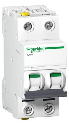 Immagine prodotto di Interruttore LS Schneider Electric A9F06210