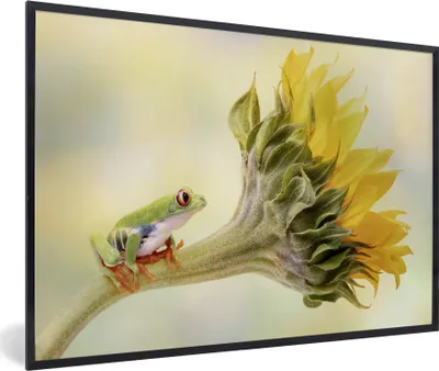 Produktbild von MuchoWow® MuchoWow® Gerahmtes Poster Sonnenblume - Tier - Frosch 60x40 cm - Poster mit zchwarzem Bilderrahmen - Printing - Wanddeko Schlafzimmer