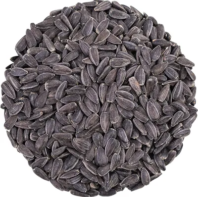 A pile of black sunflower seeds.