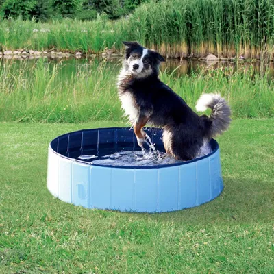 Produktbild von TRIXIE Hundepool 80 x 20 cm Blau 39481