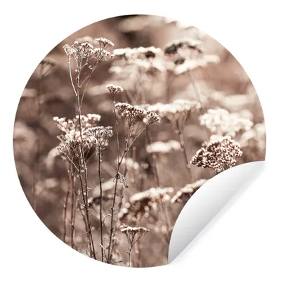 Produktbild von MuchoWow® Runde Wandtattoo - Wandsticker Tapete Aufkleber Pflanzen - Blumen - Winter - Schnee - Sepia Ø 100 cm Selbstklebend und Repositionierbar - Wandaufkleber - Kreis - Tapetenkreis - Wandbild rund - Schlafzimmerdekoration - Wanddeko - runde Tapete - Kunst für zu Hause