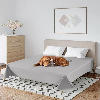 Immagine prodotto di Coperta per cani lavabile, morbida, grigia, 230x250 cm, antiscivolo, antigraffio