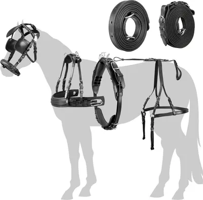 Produktbild von Esposita Einspännergeschirr "Anatomic" Schwarz Gr. Cob