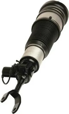 Image de Jambe de suspension pneumatique