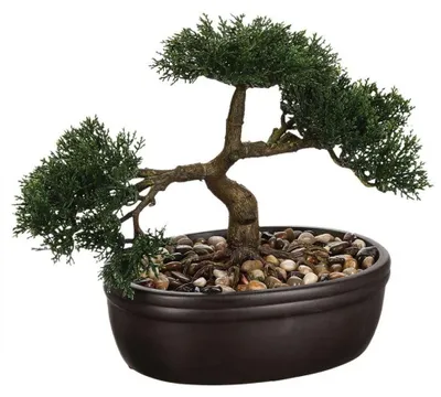 Image de Bonsaï artificiel - Céramique - H 23 cm