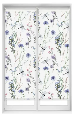 Verdunkelungsrollo 55x150 cm, Digitaldruck Libelle, 2 Stück