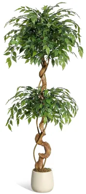 Image de Ficus artificiel - Plante décorative de 150 cm - Arbre décoratif réaliste - Tige courbée - Plante d'intérieur pour la maison et le bureau - Pot blanc - Vert