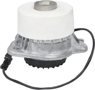 Obrázok produktu pre Motorový nosič REINHOCH RH11-3132