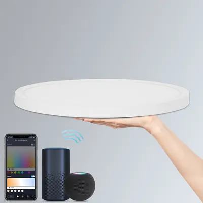 Produktbild von 24W Smart LED Deckenleuchte dimmbar, flach, für Büro, RGB, Alexa Lampe, Küche, Bürolampe