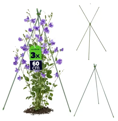 Produktbild von Pflanzenstütze, Metall- und Kunststoffkonstruktion, vielseitige Gartenanwendung, Grün