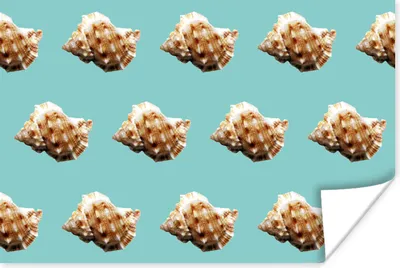 Produktbild von MuchoWow® Poster Muscheln - Muster - Grün 180x120 cm - Fotoplakat