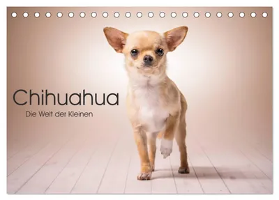 Produktbild von Chihuahua - Die Welt der Kleinen (Tischkalender 2027 DIN A5 quer), CALVENDO Monatskalender