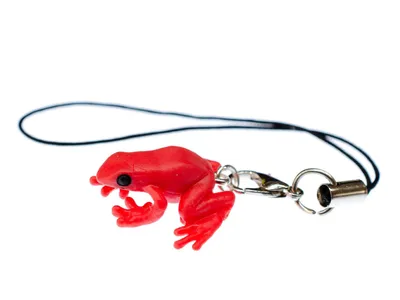 Produktbild von Frosch Giftfrosch Handyanhänger Miniblings Handyschmuck Tropen Kinderschmuck rot