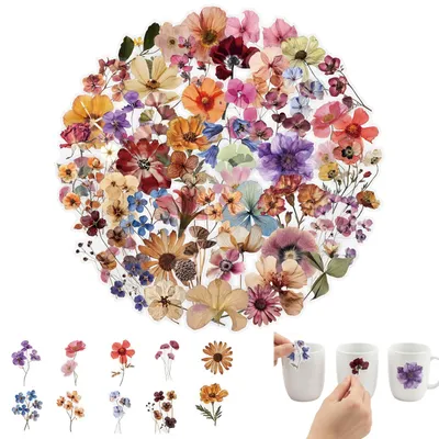 50 Vintage Blumenaufkleber, transparent, wasserdicht, PET, 3,5–6 cm