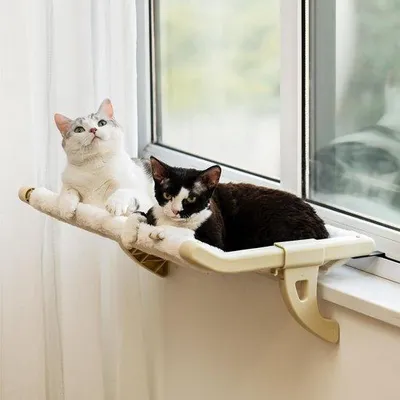 Produktbild von Famanu Katzenbett Verstellbar - 2-in-1 Beige
