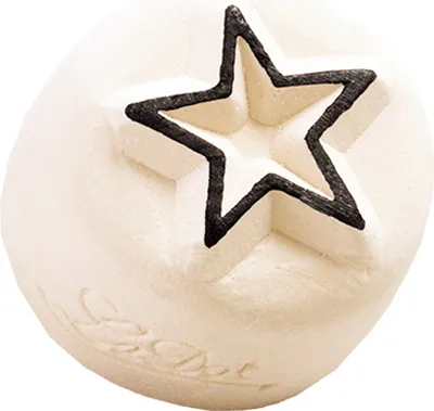 Immagine prodotto di COLOP 156371 COLOP Tattoo-Stamp LaDot pietra per bambini "Stern", piccola