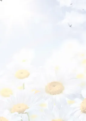 Produktbild von Motiv Briefpapier (Margeriten, Blumen Himmel-5015, DIN A4, 100 Blatt). Einseitig bedrucktes Briefpapier, beschreibbar, Motivpapier für alle Drucker/Kopierer geeignet