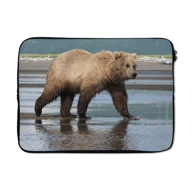 Produktbild von MuchoWow® Laptop Hülle 14 ZollBär - Strand - Wasser Laptoptasche - Laptoptasche - Stoßsicher - Schutzhaube