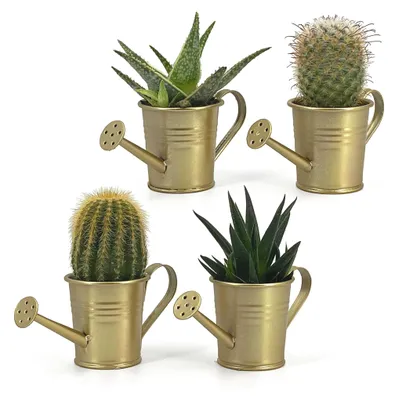Produktbild von Set aus 4 Mini-Gießkanne als Dekorative Vasen
