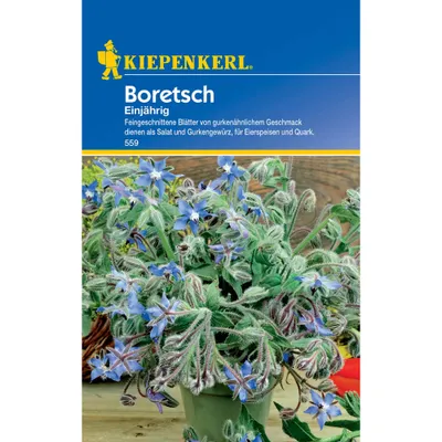 Produktbild von Kiepenkerl Boretschsamen, einjährig