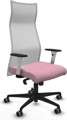 Image de Bürostuhl Piqueras y Crespo B1B036G Rose