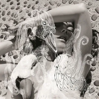 Produktbild von Björk - Vespertine (180g) (2 LP)