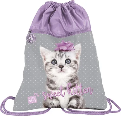 Produktbild von PASO Turnbeutel Sportbeutel Rucksack Tasche KATZE STUDIO PETS leicht bunt Kinder Mädchen