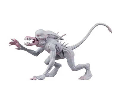 Produktbild von NECA Alien & Predator Classics - Neomorph Alien Actionfigur