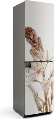 Zdjęcie produktu dla Delikatna roślina w zbliżeniu - Magnetyczna osłona lodówki - magnetyczna osłona lodówki - magnes na lodówkę - samoprzylepna tablica magnetyczna - folia magnetyczna na drzwi lodówki - 60x205 cm