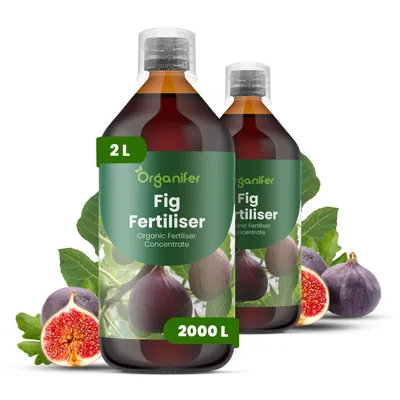 Obrázek produktu pro Fig Tekuté Hnojivo 2x1 L – 2-1-8 NPK – Pro Figy & Ovocné Rostliny – Podporuje Silný Růst, Zdravé Listy & Kvalitu Plodov – Organifer