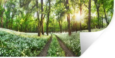 Produktbild von MuchoWow® - Aufkleber