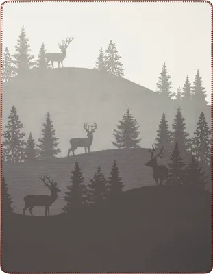 Produktbild von Biederlack Wohndecke Farbe Deerlight Größe 150 x 200