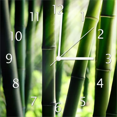 Produktbild von Wallario Design Wanduhr Bambuswald und Sonnenstrahlen aus Echtglas, Größe 30 x 30 cm