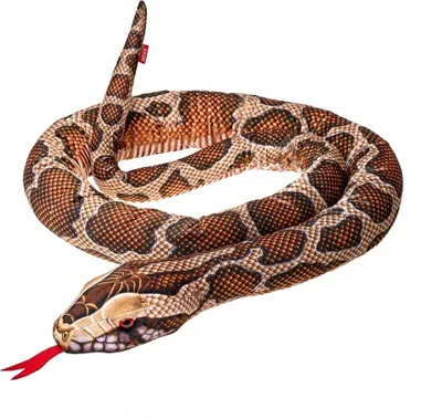 Produktbild von Birmanische Python, 180 cm - Beppe