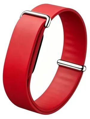Productafbeelding van Compatibele Armband met Beschermende Hoes voor Fitness Smartwatch