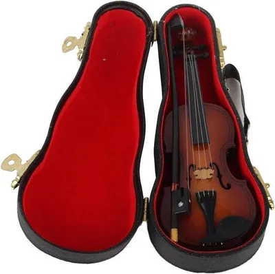 Image de Mini-violon pour enfants avec support d'archet et étui