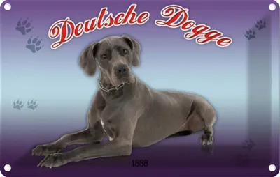 Produktbild von vianmo Blechschild 20x30 cm Hund Deutsche Dogge 1888 Tier Haustier
