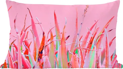 Produktbild von MuchoWow® Zierkissen Sofakissen Wohnzimmer Dekokissen 50x30 cm Sommer - Pflanzen - Pastell - Wohnzimmerdekoration - Polster mit Photo