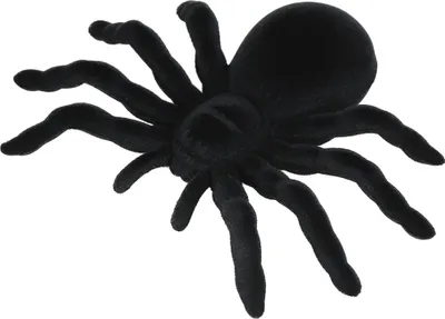 Produktbild von Tiere Dekoration Schwarz Spinne Halloween Realistische Nachbildung Grusel Deko Spinnen Attrappe Beängstigende Figur Gruselig Tier Motiv Tarantel Effekt, Farbe: Schwarz