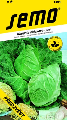 Obrázok produktu pre KEL hlávkový skorý Predzvesť