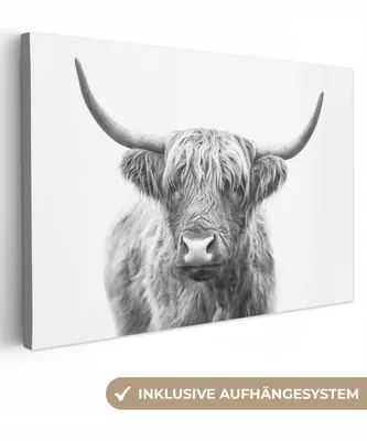 Produktbild von OneMillionCanvasses® - Leinwandbilder - 140x90 cm, Schottisches Hochlandrind - Tiere - Hörner - Schwarz und weiß, Wandbilder Kunstdruck Wanddekoration - Hochland Rind - Kuh - Gemälde