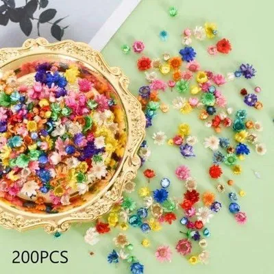 Obrázek produktu pro Allecto bude odstraněno200 kusů sušených květin na zdobení přáníček, svíček, scrapbooking a ozdoby do vlasů